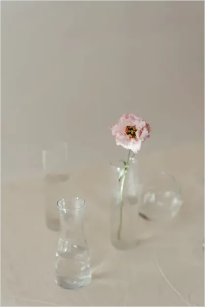 Detail Minimalist Flowers In Vase Photo Number 5