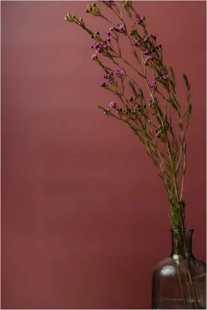 Detail Minimalist Flowers In Vase Photo Number 7