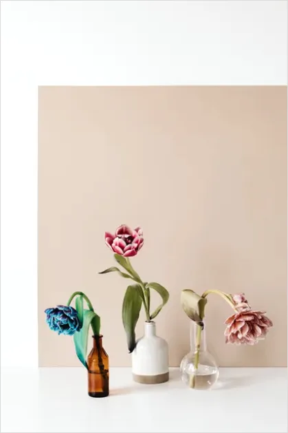 Detail Minimalist Flowers In Vase Photo Number 9