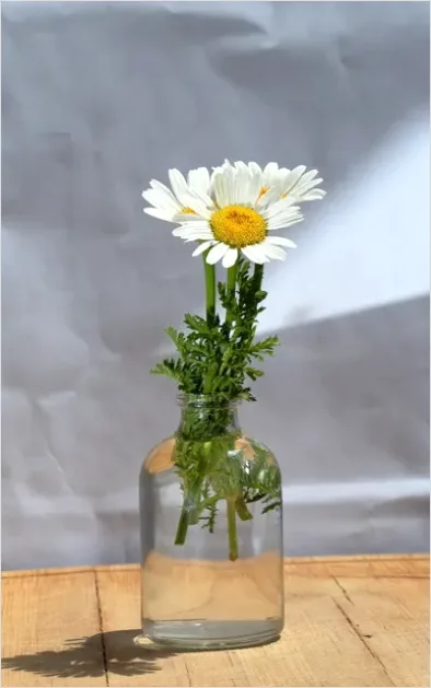 Detail Minimalist Flowers In Vase Photo Number 10