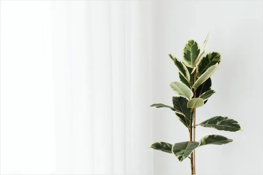 Detail Minimalist Interior With Natural Light Number 10