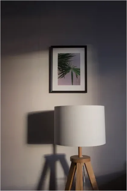 Detail Minimalist Living Room Interior Photo Number 10