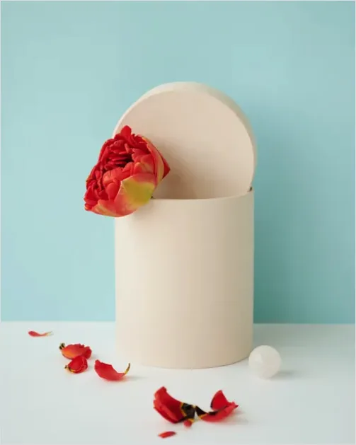 Detail Minimalist Still Life Composition Photo Number 14