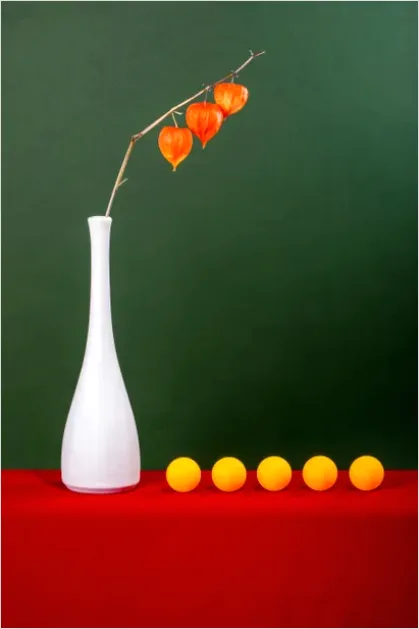 Detail Minimalist Still Life Composition Photo Number 4