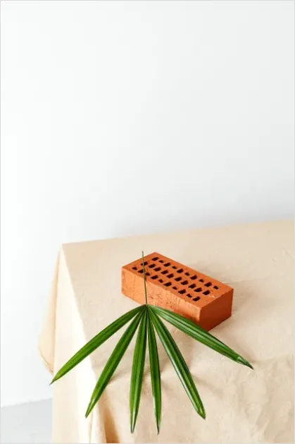 Detail Minimalist Still Life Composition Photo Number 10