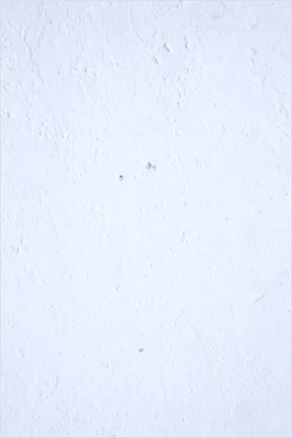Detail Minimalist White Background Texture Number 11