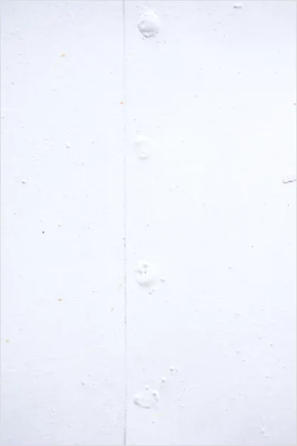 Detail Minimalist White Background Texture Number 12