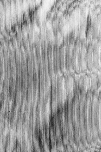 Detail Minimalist White Background Texture Number 5