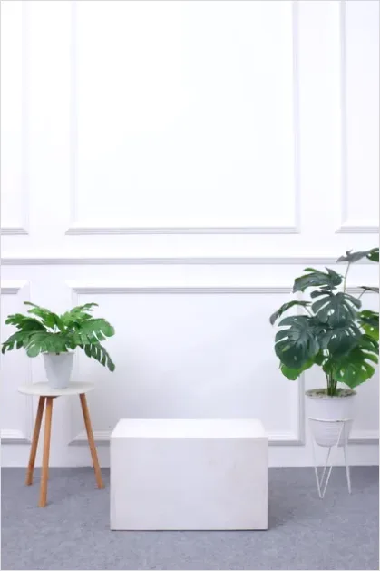 Detail Minimalist White Room Aesthetic Photo Number 4