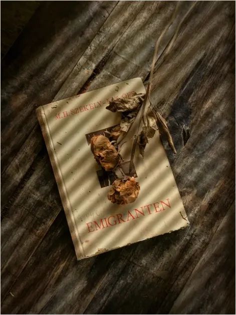 Detail Nostalgic Still Life Warm Tones Number 5