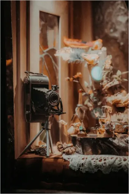 Detail Nostalgic Still Life Warm Tones Number 8