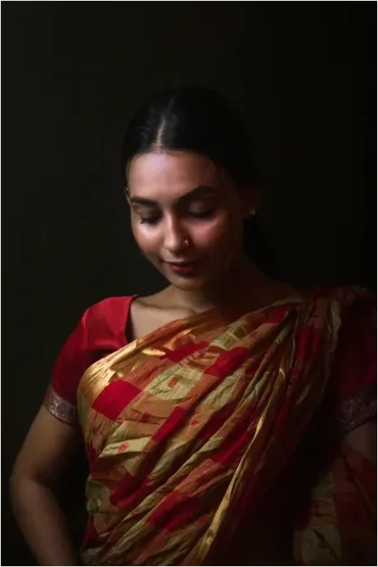 Detail Sari Drape Indian Traditional Clothing Photo Number 2