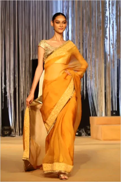 Detail Sari Drape Indian Traditional Clothing Photo Number 6