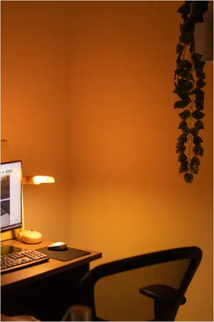 Detail Small Home Office Ideas Number 4