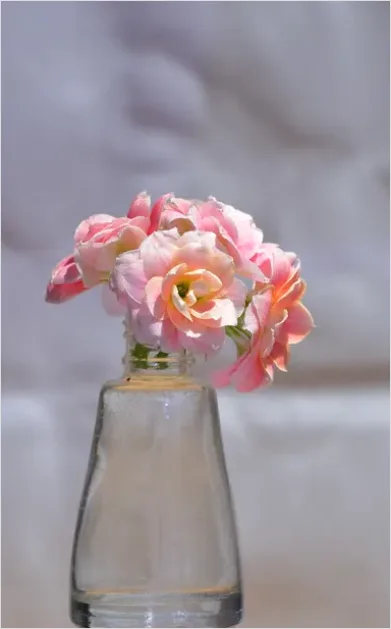 Detail Spring Still Life Pastel Flowers Number 8