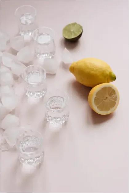 Summer Still Life Citrus And Ice D9c9