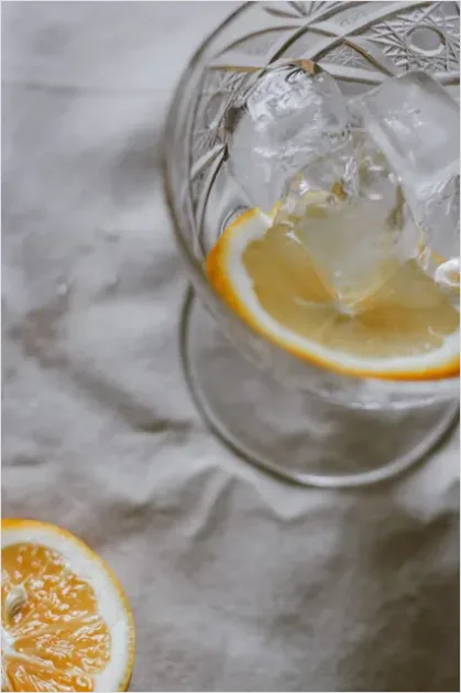 Detail Summer Still Life Citrus And Ice Number 2
