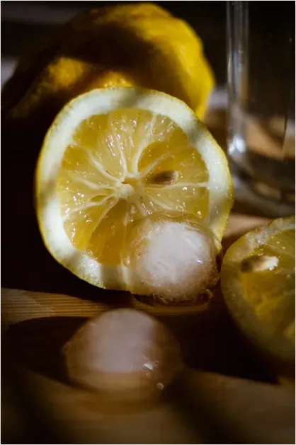Detail Summer Still Life Citrus And Ice Number 4