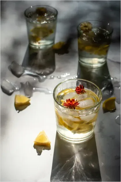 Detail Summer Still Life Citrus And Ice Number 10