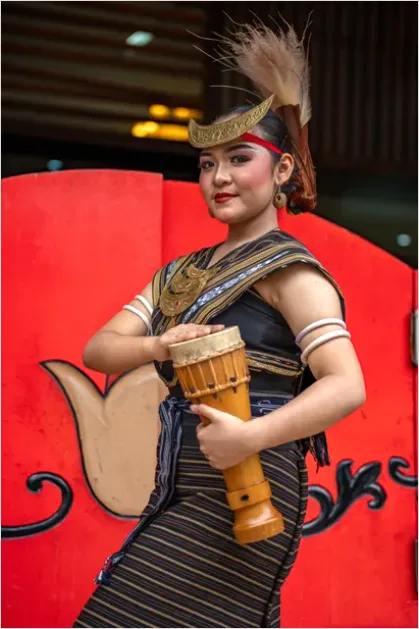 Detail Traditional Drum Cultural Performance Photo Number 5