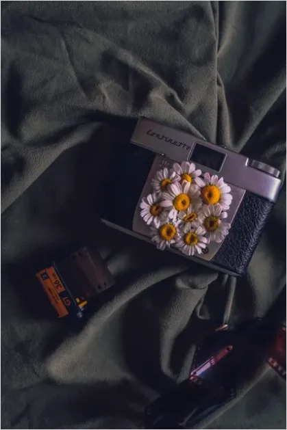 Detail Vintage Still Life Film Camera Number 4