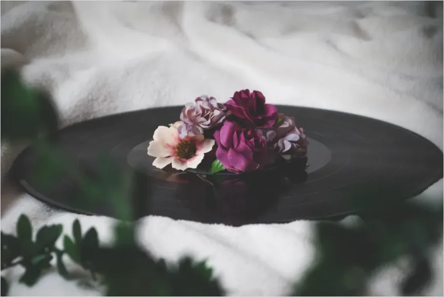 Detail Vinyl Record Still Life Aesthetic Number 2