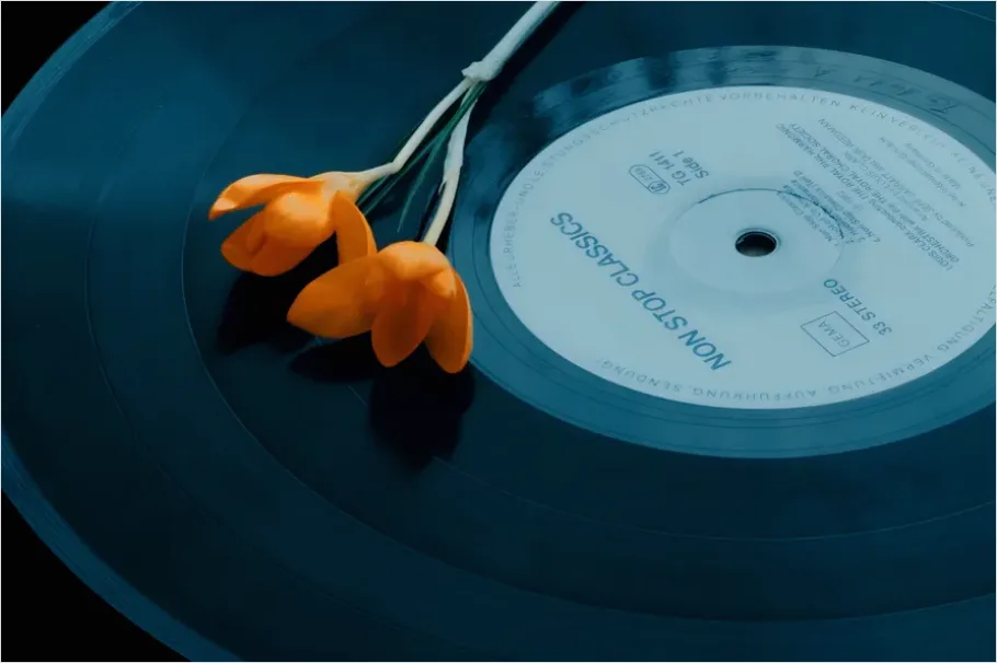 Detail Vinyl Record Still Life Aesthetic Number 3