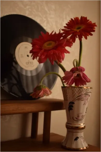 Detail Vinyl Record Still Life Aesthetic Number 4