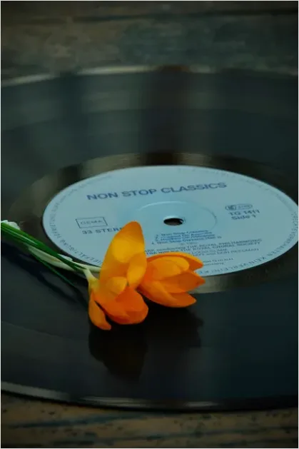Detail Vinyl Record Still Life Aesthetic Number 5