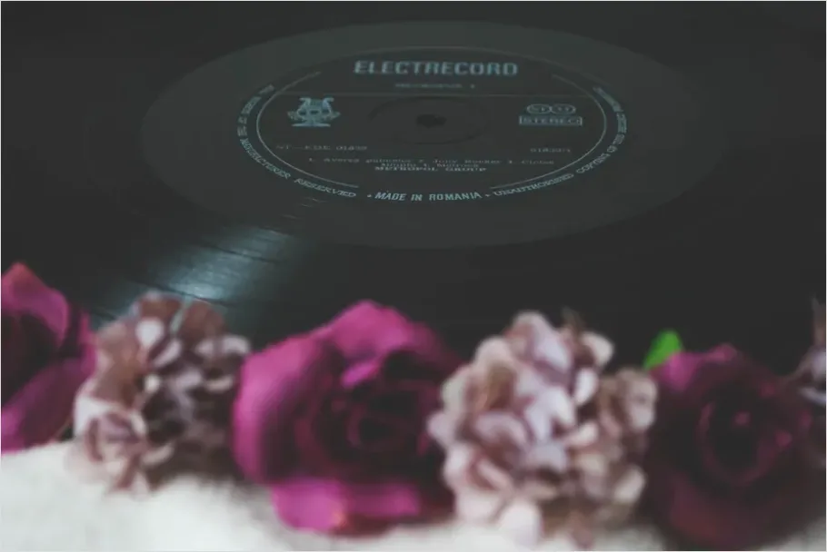 Detail Vinyl Record Still Life Aesthetic Number 6