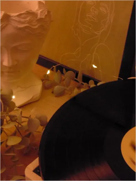 Detail Vinyl Record Still Life Aesthetic Number 7