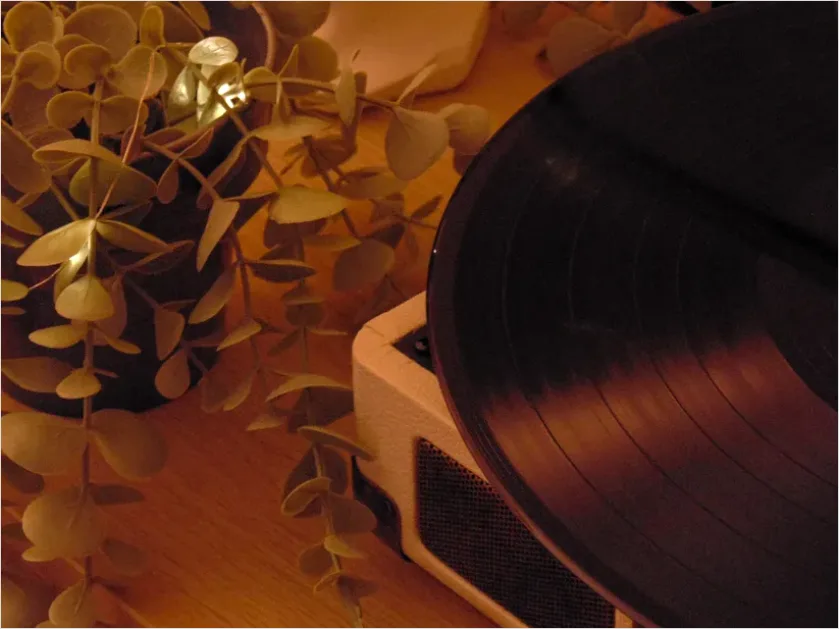Detail Vinyl Record Still Life Aesthetic Number 8