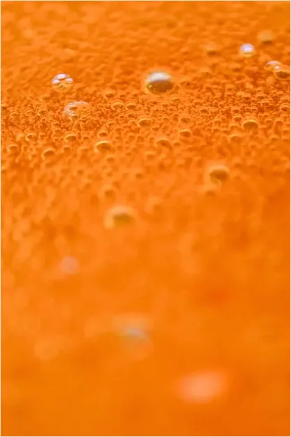 Detail Abstract Bubble Texture Macro Background Number 2