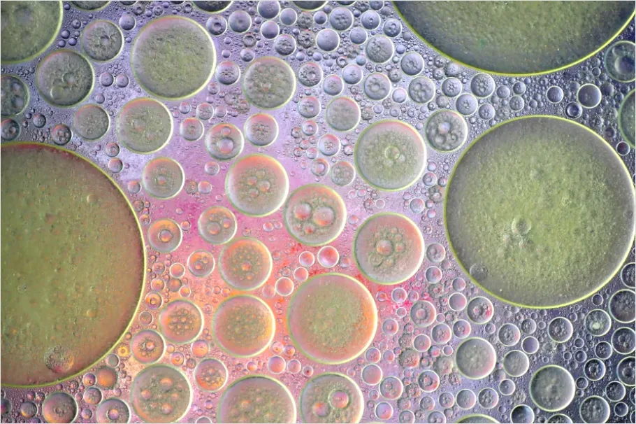 Detail Abstract Bubble Texture Macro Background Number 12