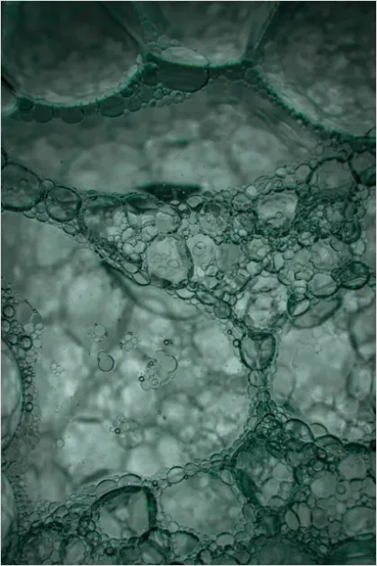 Detail Abstract Bubble Texture Macro Background Number 4