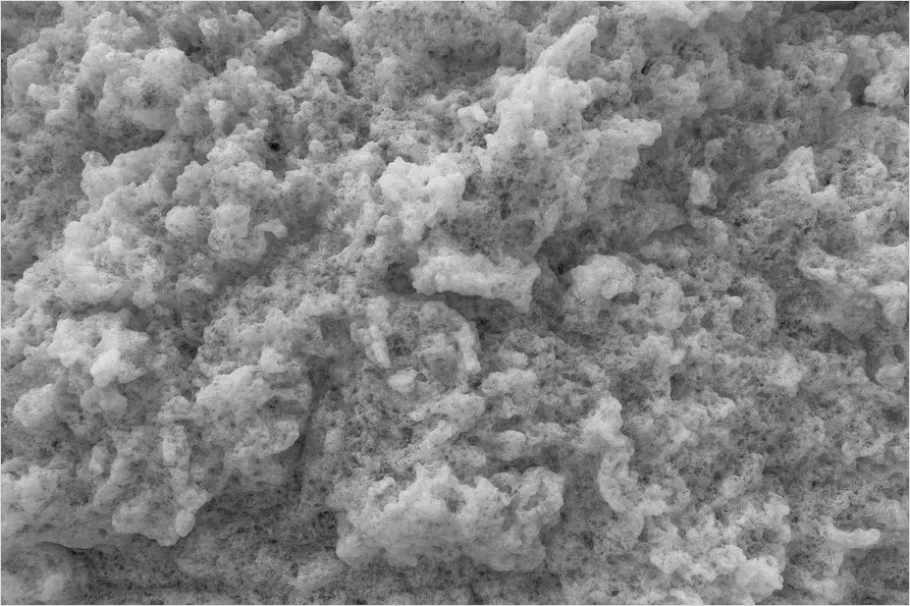 Detail Abstract Cloud Like Abstract Background Number 7