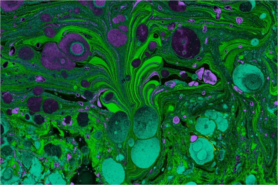 Detail Abstract Fluid Art Background Colorful Number 12