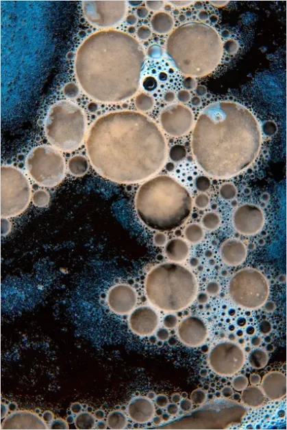 Detail Abstract Foam Texture Macro Background Number 12