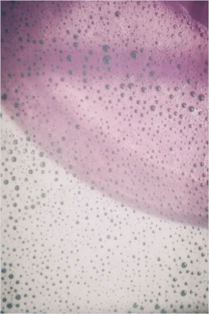 Detail Abstract Foam Texture Macro Background Number 14
