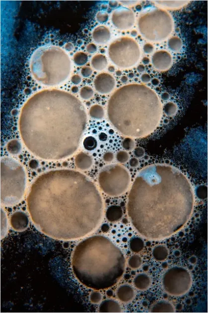 Detail Abstract Foam Texture Macro Background Number 16