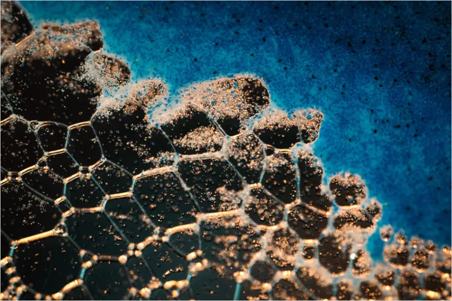 Detail Abstract Foam Texture Macro Background Number 6