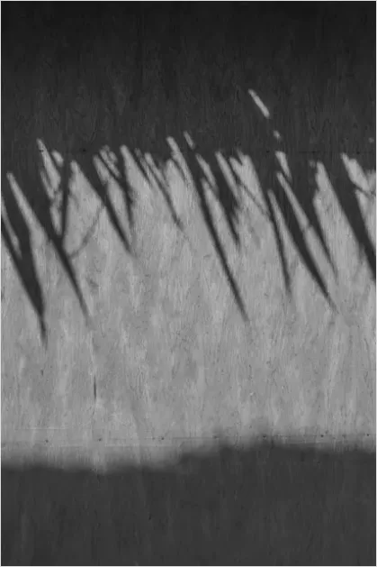 Detail Abstract Geometric Shadow Pattern Photo Number 15