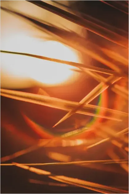 Detail Abstract Lens Flare Abstract Background Number 5