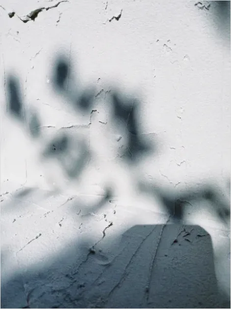Detail Abstract Light And Shadow Texture Number 3