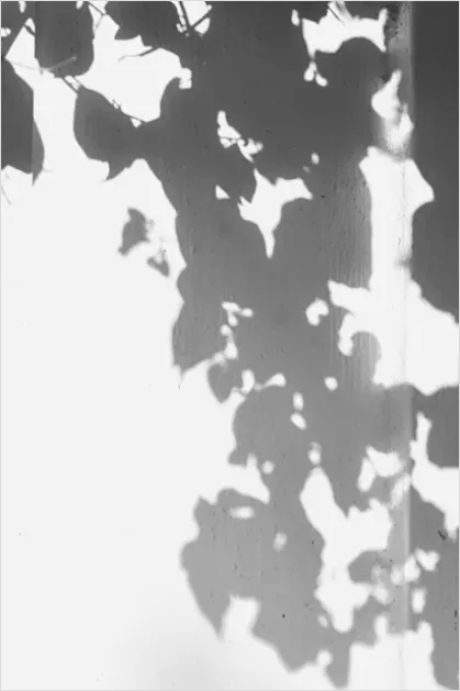 Detail Abstract Light And Shadow Texture Number 8