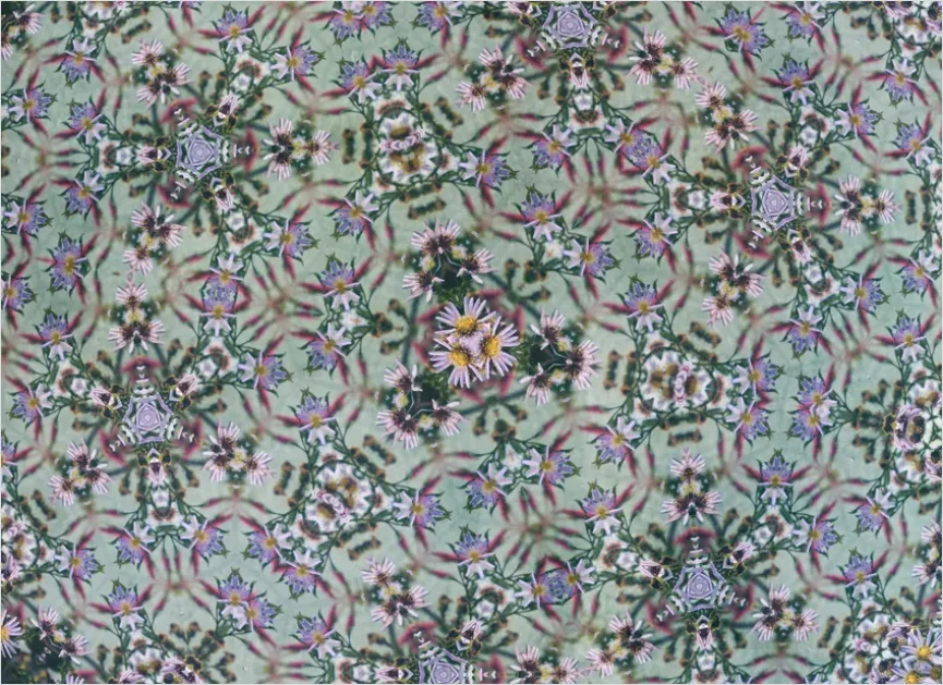 Detail Abstract Mandala Pattern Background Colorful Number 12