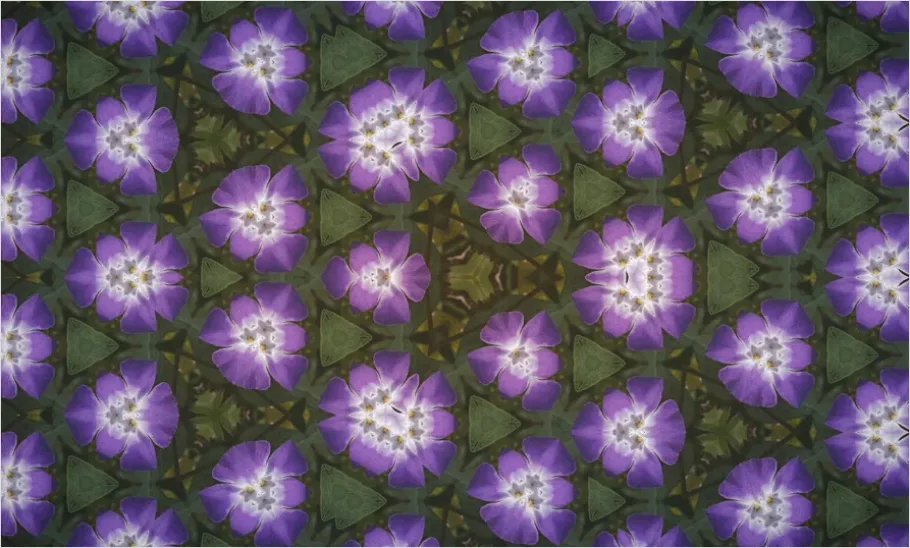 Detail Abstract Mandala Pattern Background Colorful Number 15