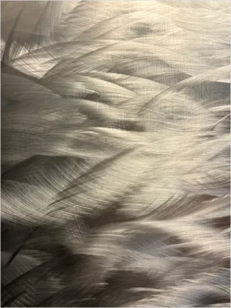 Detail Abstract Metal Texture Brushed Background Number 4