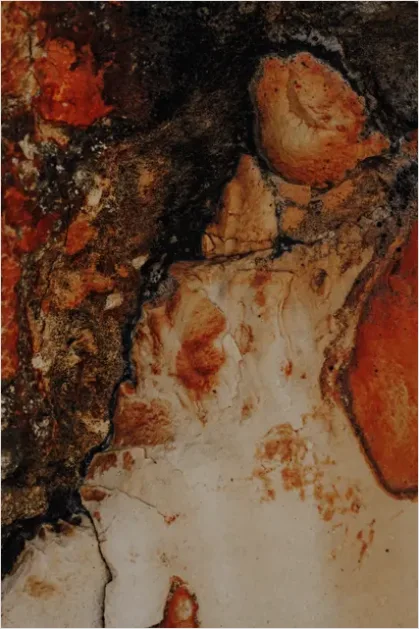 Detail Abstract Rust Texture Background Close Up Number 13