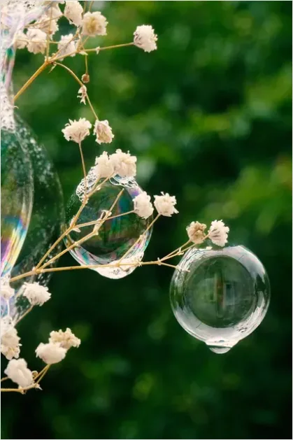 Detail Abstract Soap Bubbles Iridescent Texture Number 9